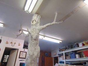 Making the Studio Tree