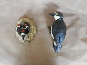 $125 - Acorn Woodpecker - 7” tall x 3 ½” wide $115 - Acorn Woodpecker Chicks - 5” tall x 3” wide