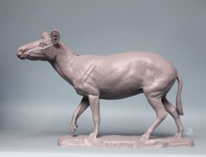 $230 - Large Classic Scale "Eohippus"